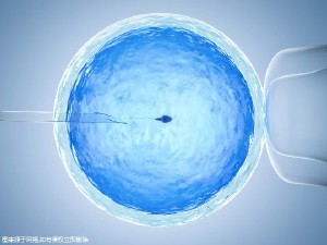 培养室